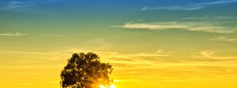 Triplicar vitamina D em crianças não ajuda ossos nem reduz infecções